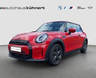 Dodge Cooper 