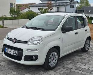 Fiat Panda Gebrauchtwagen