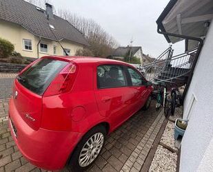 Fiat Punto Gebrauchtwagen