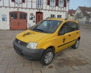 Fiat Panda Gebrauchtwagen