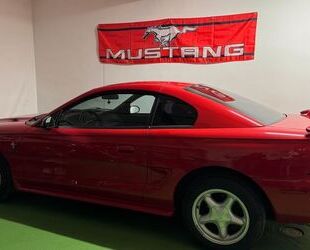 Ford Mustang Gebrauchtwagen