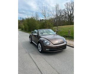 VW Beetle Gebrauchtwagen