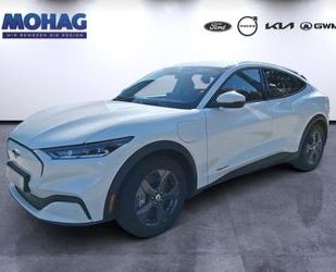 Ford Mustang Mach-E Gebrauchtwagen