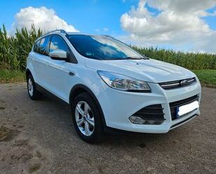 Ford Kuga Gebrauchtwagen