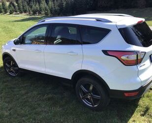 Ford Kuga Gebrauchtwagen