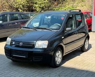 Fiat Panda Gebrauchtwagen