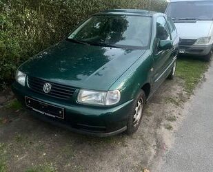 VW Polo Gebrauchtwagen
