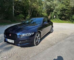 Jaguar XE Gebrauchtwagen