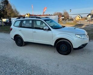 Subaru Forester Gebrauchtwagen