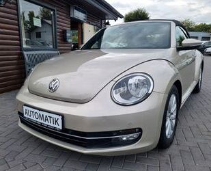 VW Beetle Gebrauchtwagen