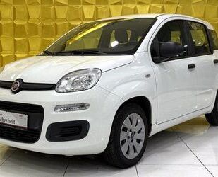 Fiat Panda Gebrauchtwagen