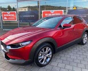 Mazda CX-30 Gebrauchtwagen