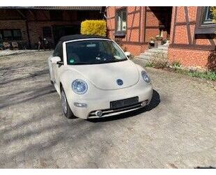 VW Beetle Gebrauchtwagen
