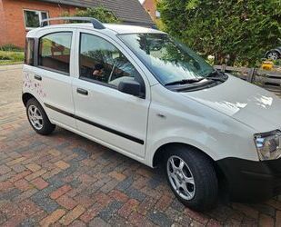 Fiat Panda Gebrauchtwagen