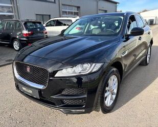Jaguar F-Pace Gebrauchtwagen