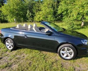 VW Eos Gebrauchtwagen