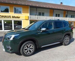 Subaru Forester Gebrauchtwagen