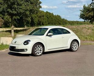 VW New Beetle Gebrauchtwagen