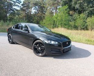 Jaguar XF Gebrauchtwagen