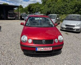 VW Polo Gebrauchtwagen