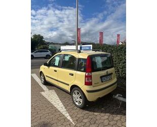 Fiat Panda Gebrauchtwagen