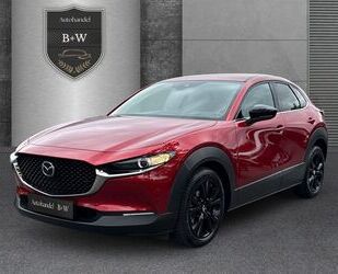 Audi CX-30 