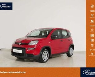 Fiat Panda Gebrauchtwagen