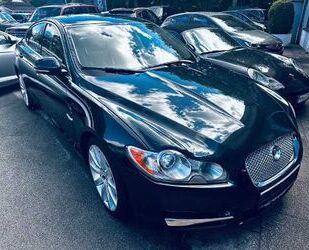Jaguar XF Gebrauchtwagen