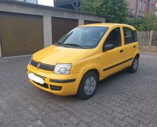 Fiat Panda Gebrauchtwagen