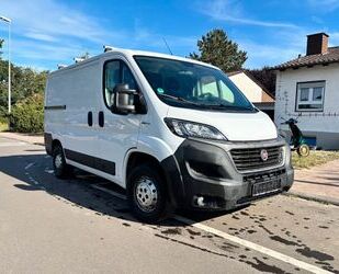 Fiat Ducato Gebrauchtwagen