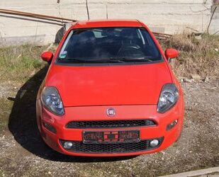 Fiat Punto Gebrauchtwagen