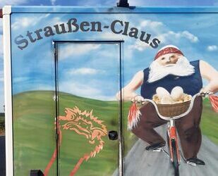 Fiat Ducato Gebrauchtwagen