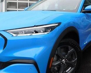 Ford Mustang Mach-E Gebrauchtwagen