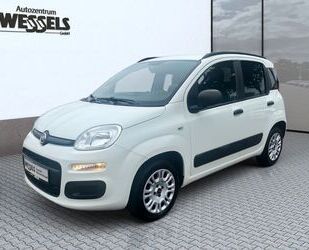 Fiat Panda Gebrauchtwagen