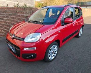 Fiat Panda Gebrauchtwagen
