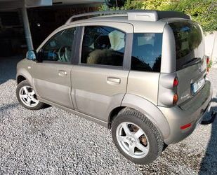 Fiat Panda Gebrauchtwagen