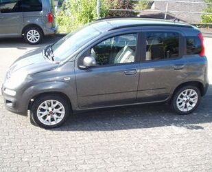 Fiat New Panda Gebrauchtwagen
