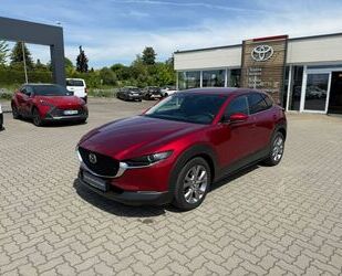 Mazda CX-30 Gebrauchtwagen