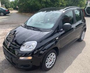 Fiat New Panda Gebrauchtwagen