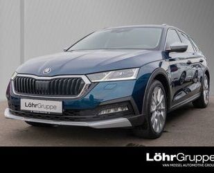 Skoda Octavia Gebrauchtwagen