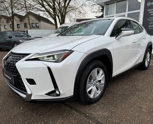 Lexus UX Gebrauchtwagen