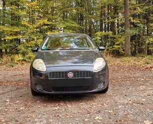 Fiat Punto Gebrauchtwagen