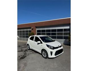 Kia Picanto Gebrauchtwagen