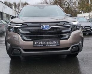 Subaru Forester Gebrauchtwagen