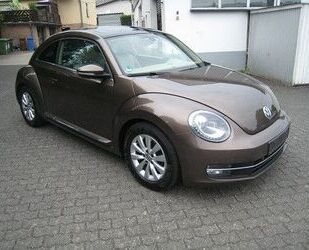VW Beetle Gebrauchtwagen