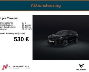 Cupra Terramar Gebrauchtwagen