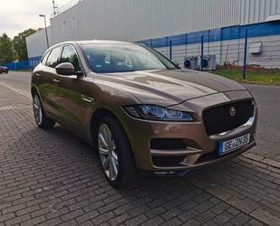 Jaguar F-Pace Gebrauchtwagen