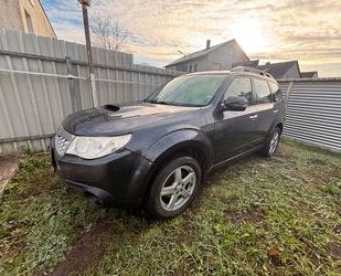 Subaru Forester Gebrauchtwagen