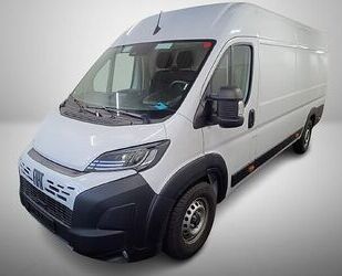 Fiat Ducato Gebrauchtwagen