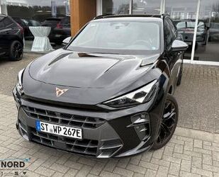 Cupra Terramar Gebrauchtwagen